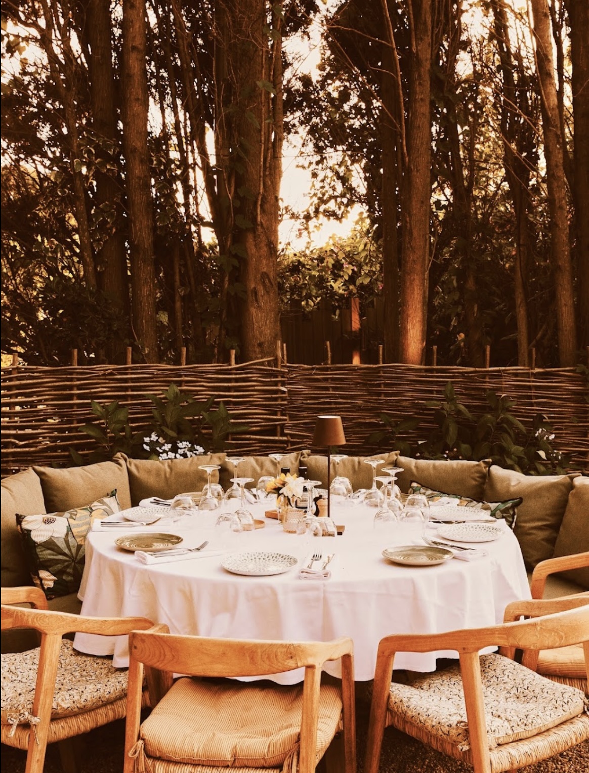 Sunset garden dinner aerial